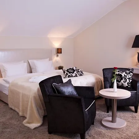 Hotel Palatina Hotel-restaurant Neustadt an der Weinstraße